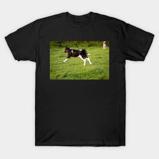 The Galloping Calf T-Shirt